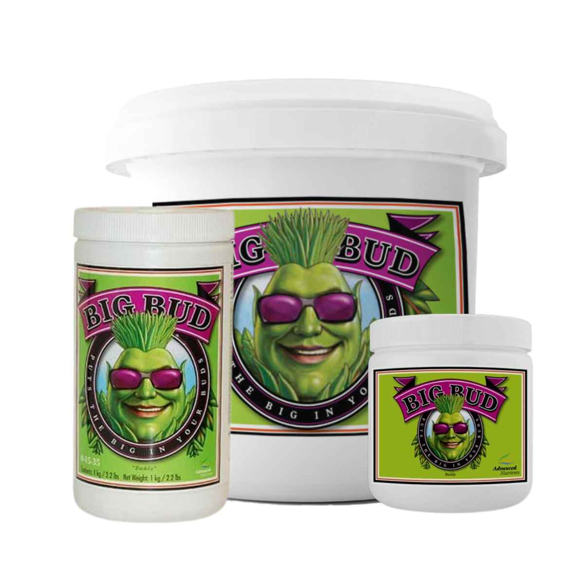 Big Bud Powder - Advanced Nutrients